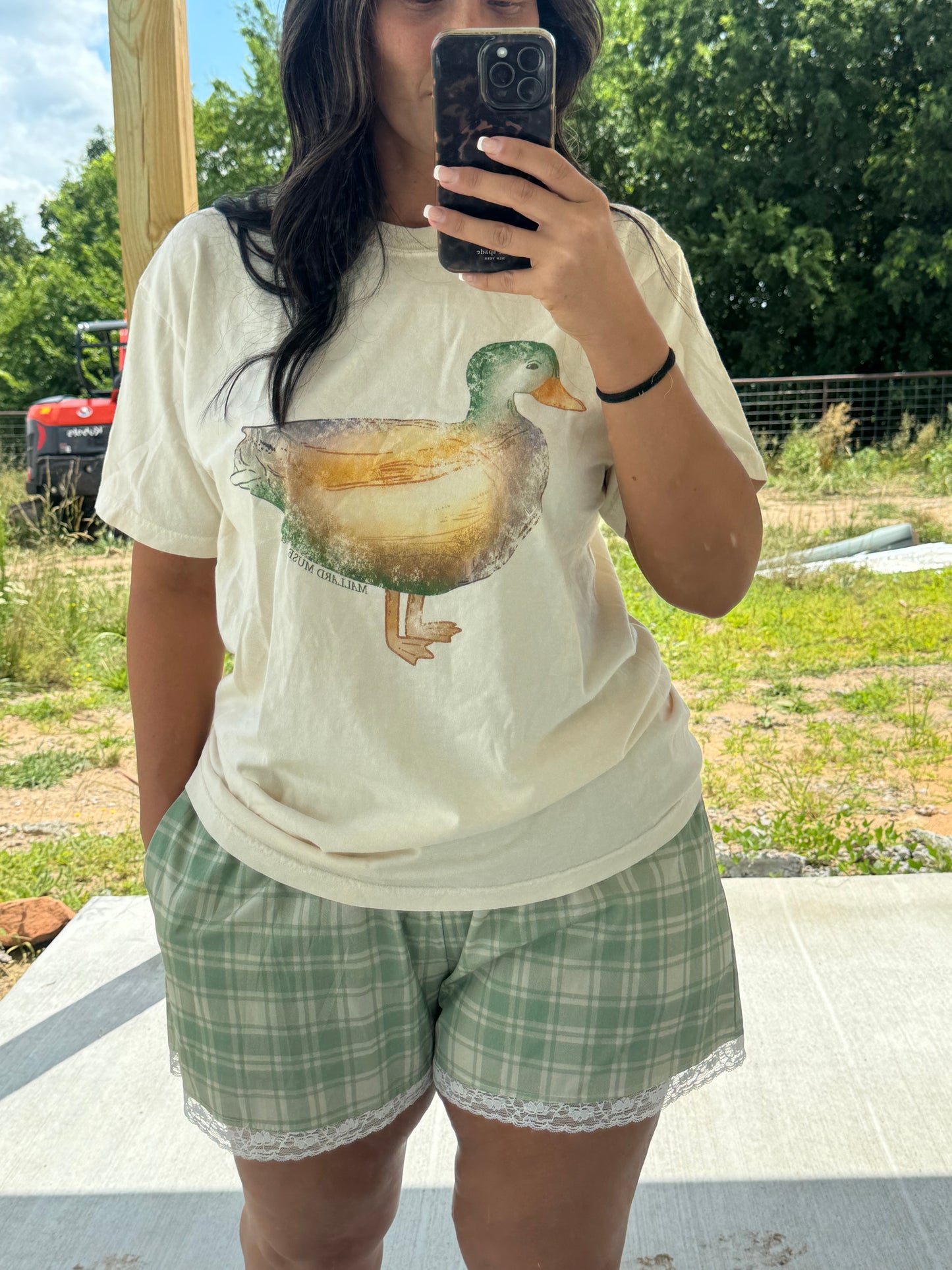 Watercolor Mallard